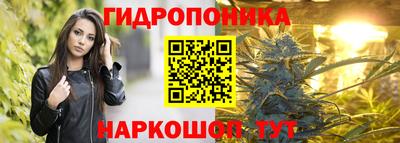 индика Наро-Фоминск