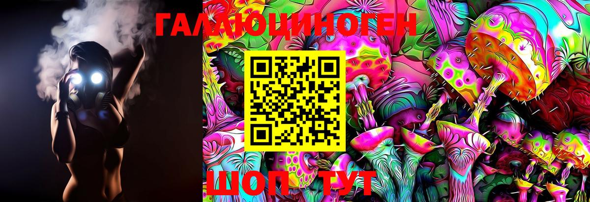 Галлюциногенные грибы Psilocybine cubensis Шахты