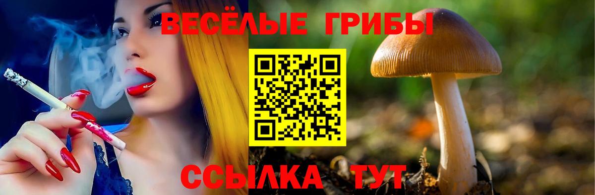 Шахты  Псилоцибиновые грибы мицелий  Вход с VPN 